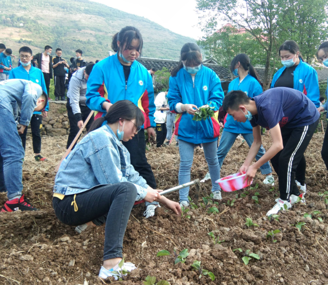 劳动教育在校园中稳步推进帮助学生成为适应时代合格人才