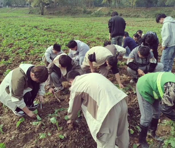 无论是学习还是日子走好每一步远比急于求成更有力量