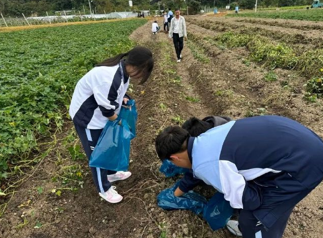 课后作业到学业评价全面分层让每一位学生都能适配自身学习节奏